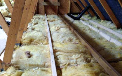 How Does Loft Insulation Prevent Convection?